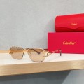 「#10564」Cartier glasses