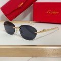 「#10569」Cartier glasses