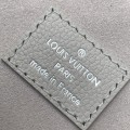 「#20005」Louis Vuitton bags; Chip M13593 (11.5 x 6.5 x 19 cm
