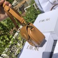 「#22529」Dior Bags  (18×14×5cm