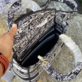 「#22596」Dior Bags  (24x20x11cm