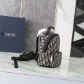 「#22662」Dior Bags (24x16x10cm