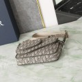 「#22710」Dior Bags(23.3x16.5x4.3cm